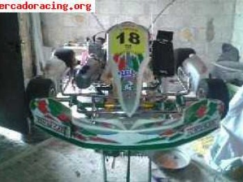 Tony kart 125cc automatico 2008
