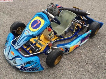 Kart top-kart/motor puma 85cc