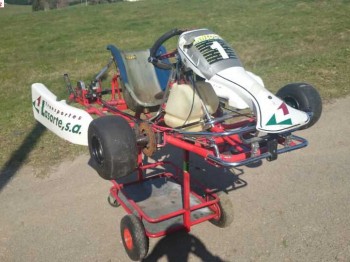Se venden chasis de kart   ruedas....
