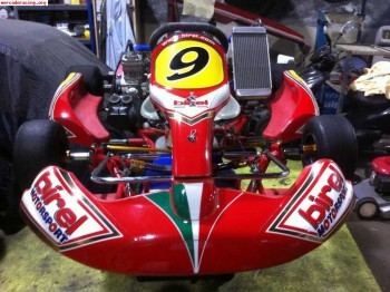 Kart con chasis birel y motor iame x-30