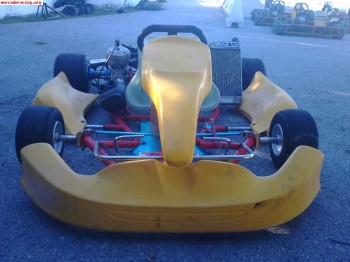 Tecno kart en 1100e