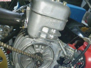 Kart 100 tiro directo