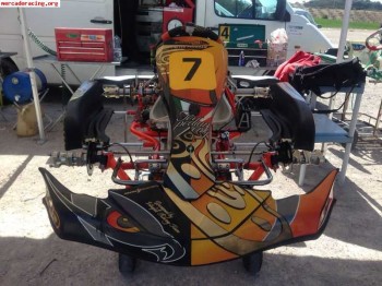 Intrepid raptor 2013