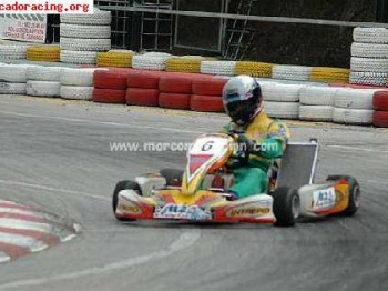 Se vende intrepid puntero