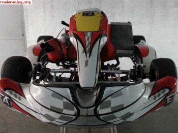 Kart ea racing kz2 125cc - 6 vel, motor tm revisado y prepar