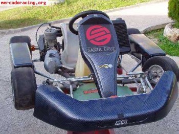Kart en muy buen estado