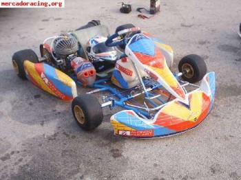 Vendo kart fernando alonso
