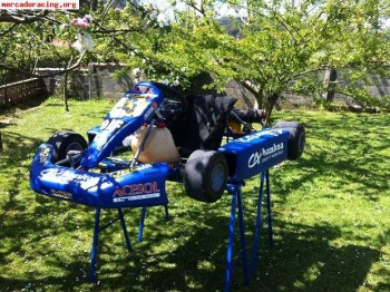 Vendo kart iame parilla 100cc (inter a)