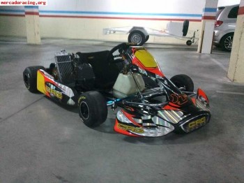 Crg con rotax max