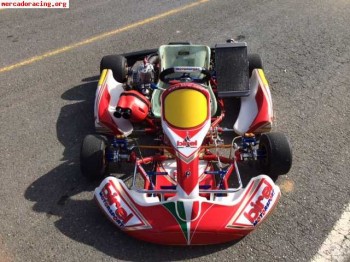 Birel 2011,motor k9c(galiffa italia)