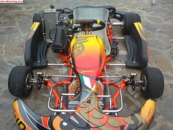 Intrepid cruiser con rotax max 125cc