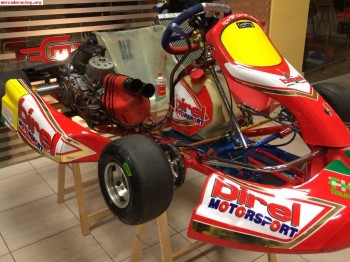 Precio inmejorablee !!! birel kz2