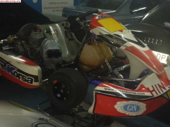 Kart rosso korsa tmk9b