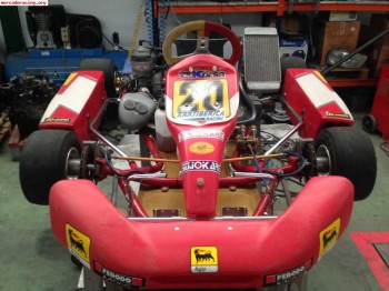 Kart seijo - 125 sonik