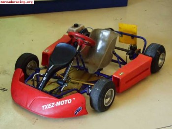Baby kart infantil