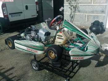 Tony kart racer evrx kz2 - tm k9b top