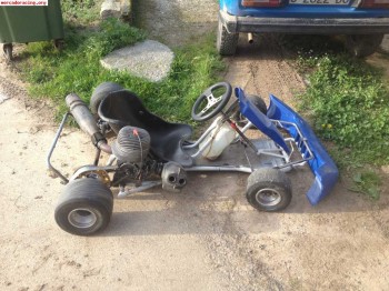 Kart parilla iame 100