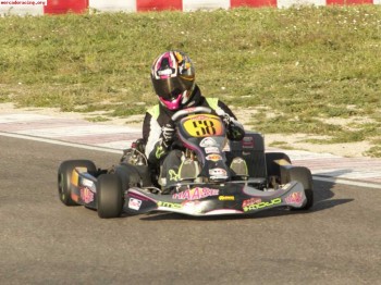 Rotax hasse dd2