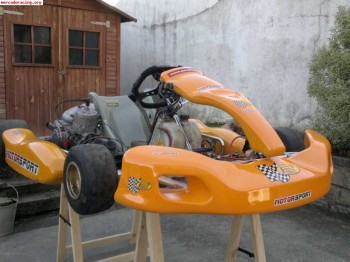 Kart parolin con motr tm 125 6v hecho recienemente