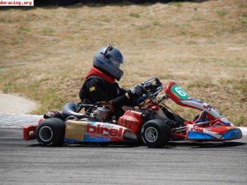 Birel ry31 kz2 año 2008