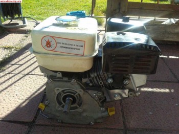 Motor de 4 tiempos 5,5 cv