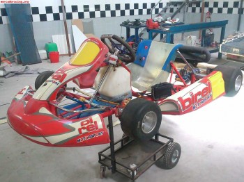Kart birel rotax max 1490 euros
