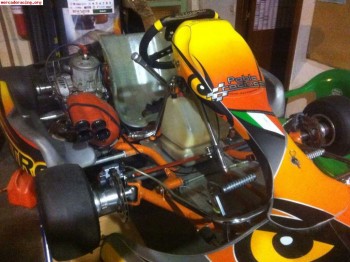 Se vende o se cambia kart kz2 intrepid 