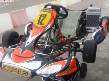 Vendo kart crg dd2 