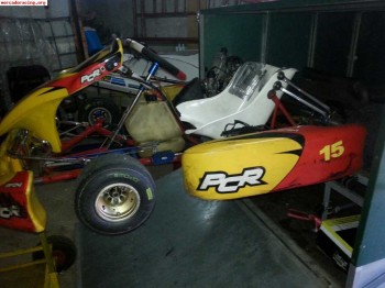 Kart pcr advanced