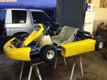 Kart 125 automatico rotax r-max. asturias.