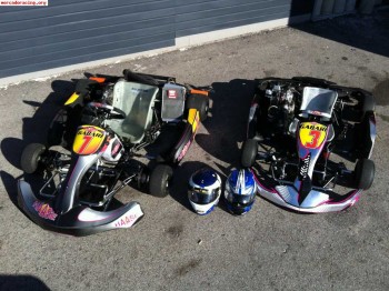 Se venden 2 karts haase rotax 125 2014. un dd2 y un micro ma