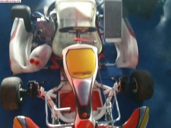 Se vende kart 6 marchas