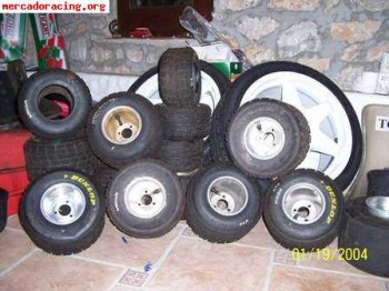 Ruedas de agua vega dunlop bridgestone