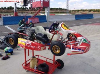Kart birel puma 85
