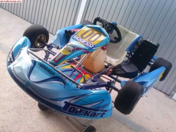 Top kart 125cc 