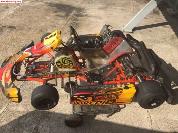 Intrepid rotax max