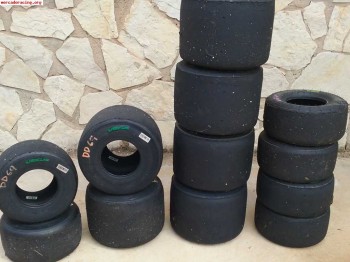 Neumaticos mojo y vega 