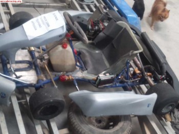Vendo kart rotax max 