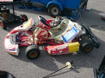 Se vende o se cambia birel k9c 6 marchas