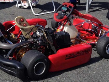 Swiss hutless-rotax max