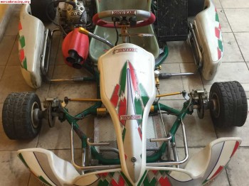 Tony kart evs 125 - motor vortex rvs - 6 velocidades