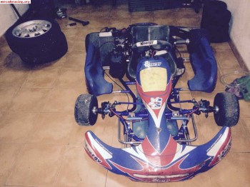 Se vende kart energy del 2008