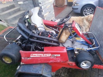 Kart swiss hurtless corsa