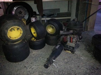 Motor parilla iame completo