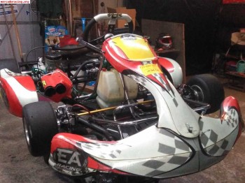 Kart kz2 chasis ea racing motor máxter mxo