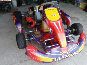 Kart seijokart pro-a kz2