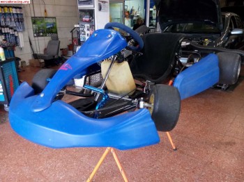 Rotax 125cc  6 marchas recien montado 1100€ negociables!!!!