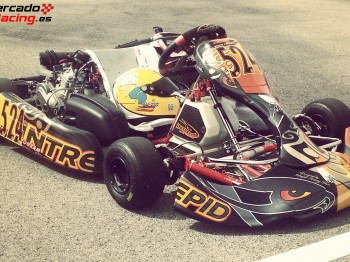Kart intrepid rotax dd2