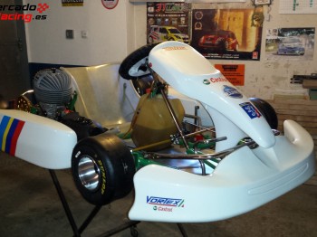 Tony kart 100cc