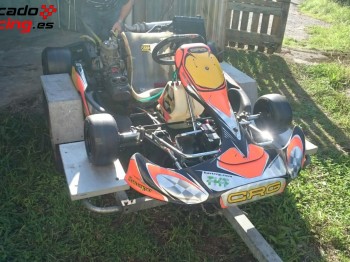 Se vende o se cambia kart 